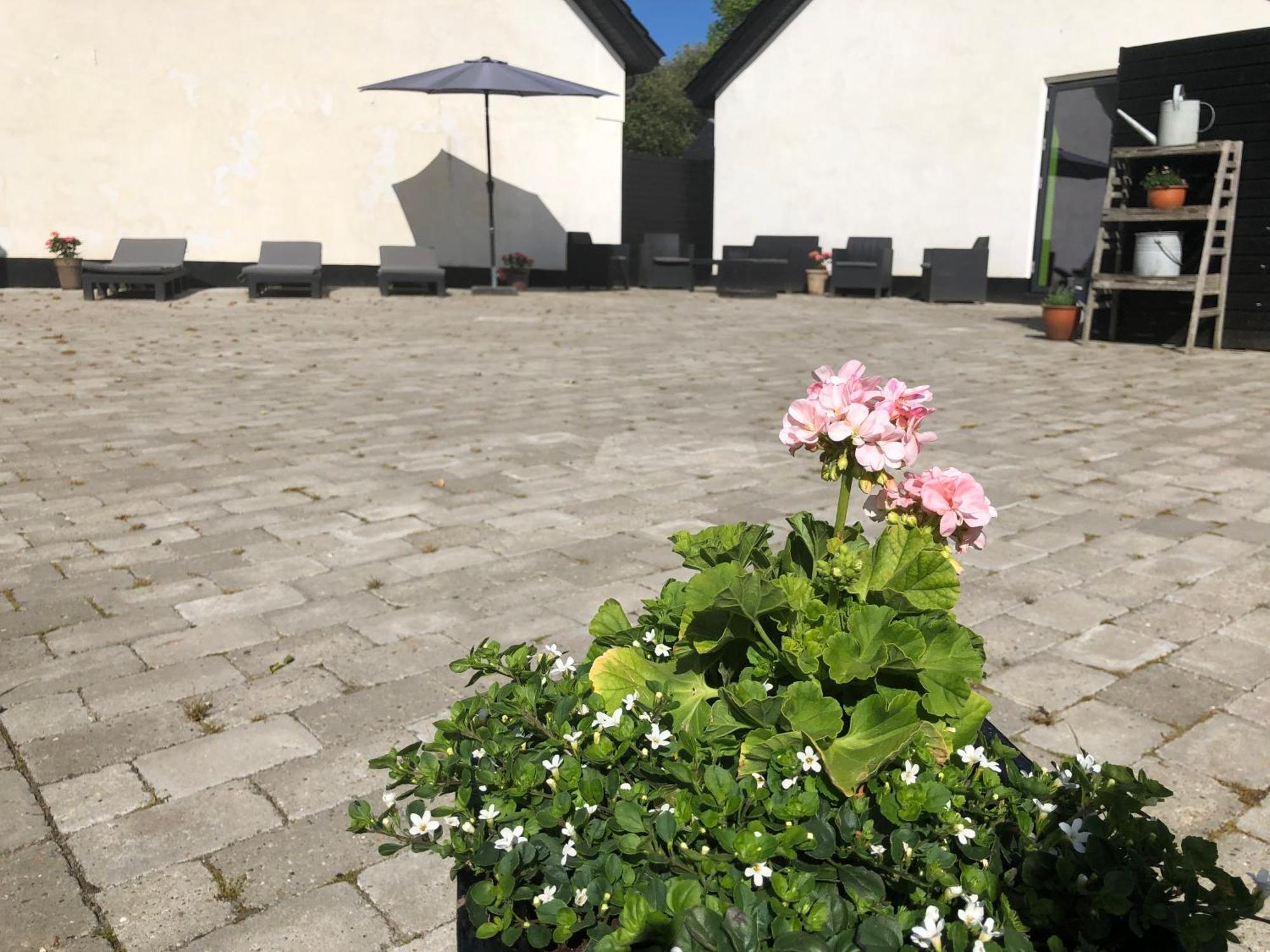 Gasthaus The Barn Give Exterior foto